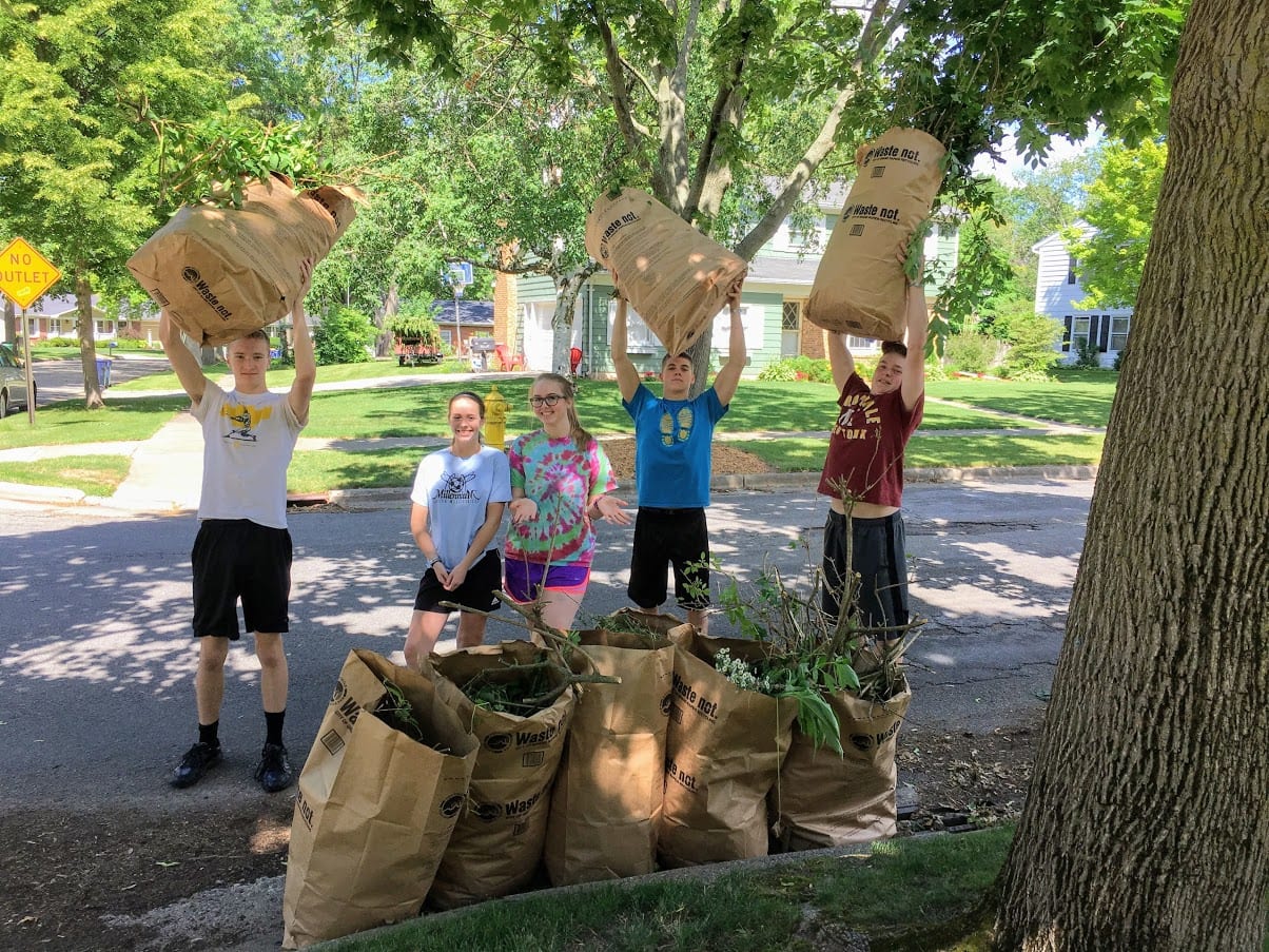 Yard Work in Grand Rapids MI